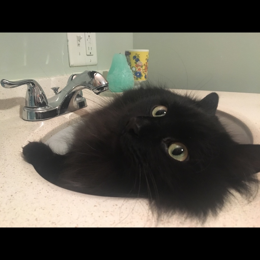 Meet your Posher, David